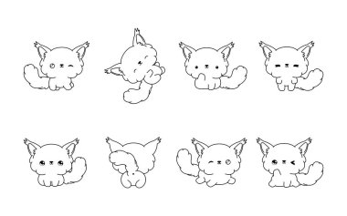 Kawaii seti Maine Rakun Kedi Rengi Sayfası 'nı izole etti. Çıkartmalar, Bebek Duşu, Renk Kitabı, Giysiler için Parmak izi Koleksiyonu. 