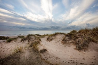 Hollanda 'daki Maasvlakte sahilinde güzel bir gökyüzü olan kum tepeleri ve deniz.