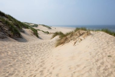 Dunes and the north sea coast in Burgh Haamstede in the Netherlands clipart