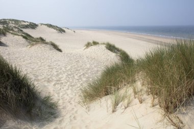 Hollanda 'daki Burgh Haamstede' de kum tepeleri ve kuzey kıyıları