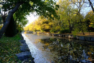 Akşam güneşi sonbahar yapraklarıyla kaplı kanalı aydınlatıyor.