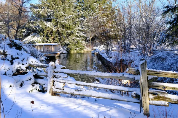 Pond in the winter forest of the botanical garden
