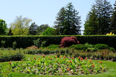Botanik parkında güzel bir bahçe