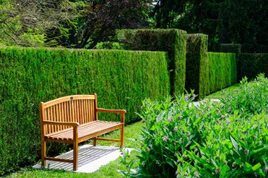 Bahçedeki bankta peyzaj. 