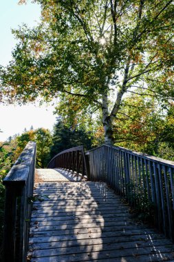 Nehrin üzerindeki eski ahşap kemerli köprü, Algonquin İl Parkı 2024