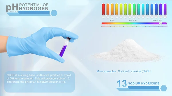 Ph ölçekli bilgi gösterimi, pH ölçekli 13 özellik 