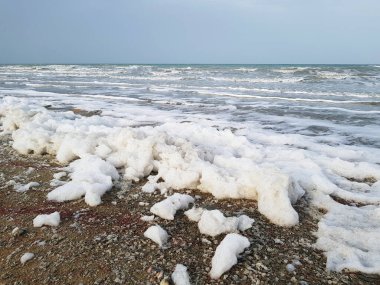 The Aral Sea disaster is one of the world's most notorious environmental problems