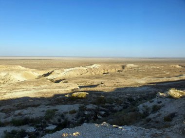 The Aral Sea tragedy is one of the world's most infamous environmental disasters