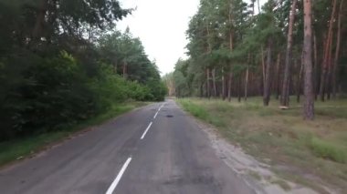 Uçuş ve kalkış bir çam ormanındaki eski bir yol üzerinde ve ormanın üzerinde uçuyor.