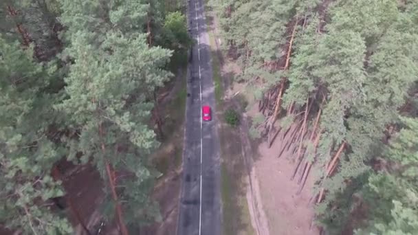 Vanaf Een Hoogte Boven Bomen Vliegend Achter Een Rode Auto — Stockvideo