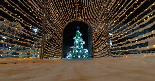 Mariupol Yeni Yıl 2022 Aralık 2021 Savaştan Önce Şehrin Güzel — Stok video