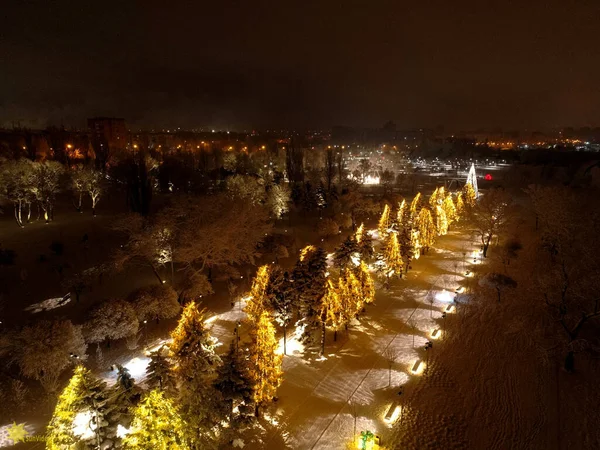 Mariupol New Year 2022 Months War Christmas Tree Beautiful Decorations — Stock Photo, Image