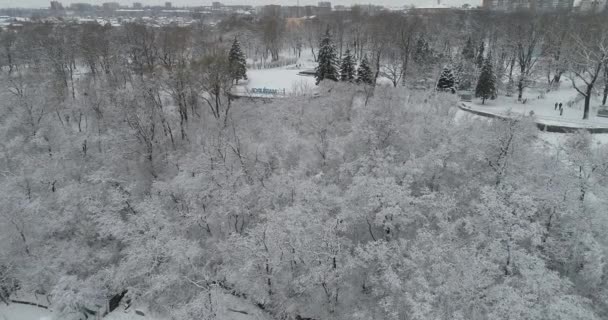 2021年12月战争前的Mariupol 城市花园 和平的城市 在雪地里 全景城市无人驾驶飞机的观点 雪地里的树 — 图库视频影像