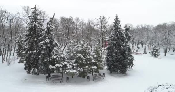 2021年12月战争前的Mariupol 城市花园 和平的城市在白雪中 — 图库视频影像