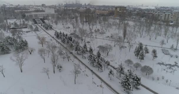マリウポリだ 2022年新年 戦争の2ヶ月前 街の美しい装飾 雪の中で一日で平和な街 鉄と鉄で作られている 高品質4Kドローン映像 — ストック動画