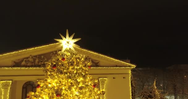 マリウポリだ 2022年新年 戦争の2ヶ月前 ドラマ劇場 クリスマスツリー 街の美しい装飾 雪の中で夜の平和都市 明るい光 — ストック動画
