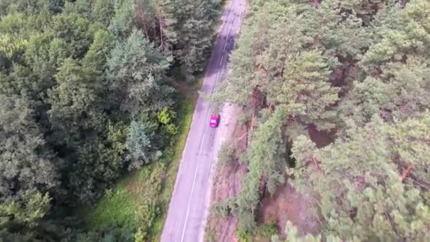 红色轿车从森林道路上方的高处俯瞰松树在战争前在宁静的森林里飞翔高质量的4K镜头 — 图库视频影像