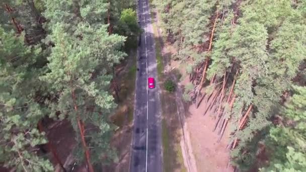 红色的汽车正驾驶着视野从森林的道路上俯瞰着松树战争前在宁静的森林里高质量的4K镜头 — 图库视频影像