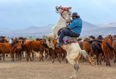 Vahşi atlar (nam-ı diğer Ylk Atlar) özgürlüğe koşuyorlar. Kapadokya ile Kayseri arasında, Hrmetci Köyü yakınlarında çekildi.