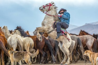 Vahşi atlar (nam-ı diğer Ylk Atlar) özgürlüğe koşuyorlar. Kapadokya ile Kayseri arasında, Hrmetci Köyü yakınlarında çekildi.