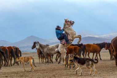 Vahşi atlar (nam-ı diğer Ylk Atlar) özgürlüğe koşuyorlar. Kapadokya ile Kayseri arasında, Hrmetci Köyü yakınlarında çekildi.