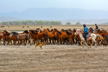 Vahşi atlar (nam-ı diğer Ylk Atlar) özgürlüğe koşuyorlar. Kapadokya ile Kayseri arasında, Hrmetci Köyü yakınlarında çekildi.