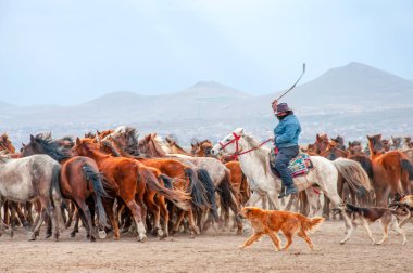 Vahşi atlar (nam-ı diğer Ylk Atlar) özgürlüğe koşuyorlar. Kapadokya ile Kayseri arasında, Hrmetci Köyü yakınlarında çekildi.