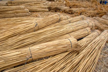 Sultan sazl kayseri Sultan Reedy Milli Parkı Kayseri TrkeySultan Reedy Milli Parkı (Sultan Sazligi) ve karlı Erciyes Dağı, Kayseri, Türkiye. Tahta köprü / iskele göl üzerinde 1 km uzunluğunda..