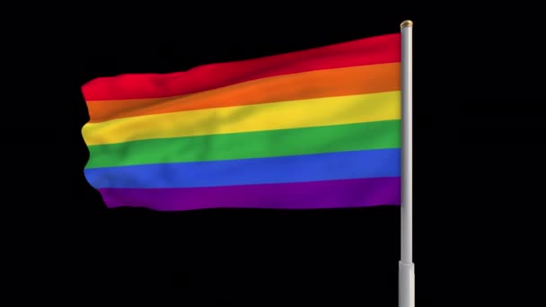 Gay Gay Orgoglio Bandiera Infinito Ciclo Risoluzione — Video Stock