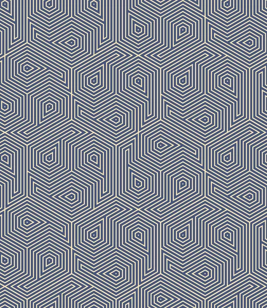 Naadloos Abstract Geometrisch Patroon Met Concentrische Zeshoeken Blauw Wit Stijlvolle — Stockvector