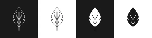 Установите Значок Leaf Изолированным Черно Белом Фоне Знак Листья Символ — стоковый вектор