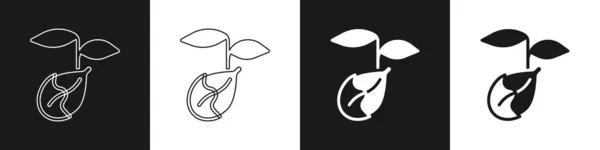 Establecer Icono Sprout Aislado Sobre Fondo Blanco Negro Semillas Plántulas — Archivo Imágenes Vectoriales