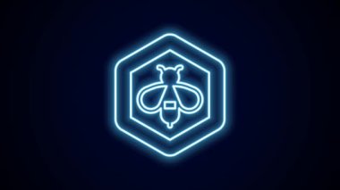 Parlayan neon hattı arısı ve bal peteği simgesi siyah arkaplanda izole edildi. Bal hücreleri. Bal arısı ya da kanat sembollü apis. Uçan böcek. Tatlı doğal yemek. 4K Video hareketli grafik canlandırması.