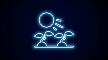 Parlayan neon çizgisi. Siyah arka planda izole edilmiş güneş ikonunda bitki filizleri yetişir. Tohumlama konsepti. 4K Video hareketli grafik canlandırması.