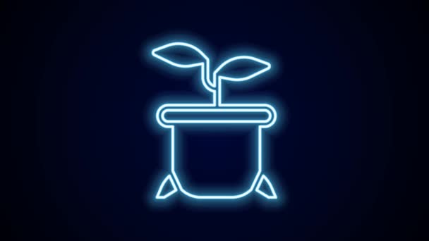 Glowing Neon Line Plant Pot Icon Isolated Black Background Plant — Stock Video
