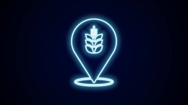 Pilav, buğday, mısır, yulaf, çavdar ve siyah arka planda izole edilmiş arpa ikonu içeren parlak neon çizgileri. Buğday ekmeği sembolleri. 4K Video hareketli grafik canlandırması.