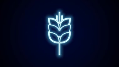 Pilav, buğday, mısır, yulaf, çavdar ve siyah arka planda izole edilmiş arpa ikonu içeren parlak neon çizgileri. Buğday ekmeği sembolleri. 4K Video hareketli grafik canlandırması.