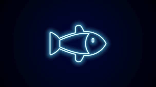 Linea Neon Luminosa Icona Pesce Isolata Sfondo Nero Animazione Grafica — Video Stock