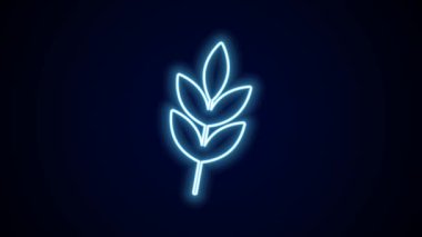 Parlayan neon çizgisi Yaprak simgesi siyah arkaplanda izole edildi. İşaret bırakıyor. Taze doğal ürün sembolü. 4K Video hareketli grafik canlandırması.