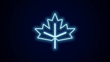 Parlayan neon hattı Kanada akçaağaç yaprağı ikonu siyah arkaplanda izole edildi. Kanada sembolü akçaağaç yaprağı. 4K Video hareketli grafik canlandırması.