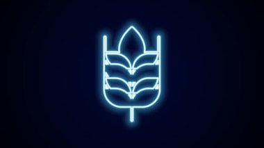 Pilav, buğday, mısır, yulaf, çavdar ve siyah arka planda izole edilmiş arpa ikonu içeren parlak neon çizgileri. Buğday ekmeği sembolleri. 4K Video hareketli grafik canlandırması.