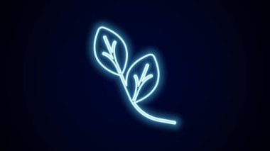 Parlayan neon çizgisi Yaprak simgesi siyah arkaplanda izole edildi. İşaret bırakıyor. Taze doğal ürün sembolü. 4K Video hareketli grafik canlandırması.