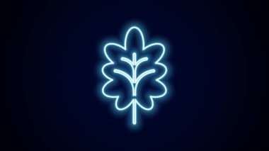 Parlayan neon çizgisi Yaprak simgesi siyah arkaplanda izole edildi. İşaret bırakıyor. Taze doğal ürün sembolü. 4K Video hareketli grafik canlandırması.