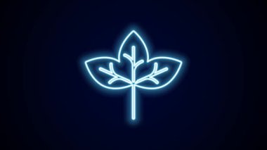 Parlayan neon çizgisi Yaprak simgesi siyah arkaplanda izole edildi. İşaret bırakıyor. Taze doğal ürün sembolü. 4K Video hareketli grafik canlandırması.
