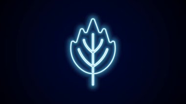 Parlayan neon çizgisi Yaprak simgesi siyah arkaplanda izole edildi. İşaret bırakıyor. Taze doğal ürün sembolü. 4K Video hareketli grafik canlandırması.