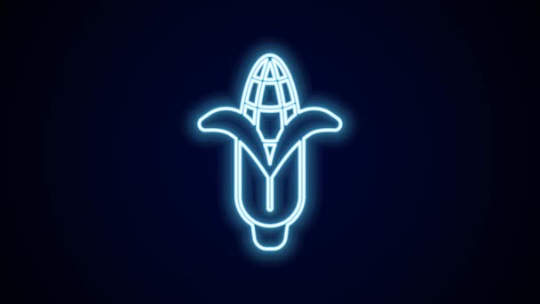 发光的霓虹灯线玉米图标孤立在黑色背景 4K视频运动图形动画 — 图库视频影像
