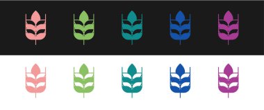 Pirinç, buğday, mısır, yulaf, çavdar ve siyah beyaz arka planda izole arpa ikonu ile hazırlanmış mısır gevrekleri. Buğday ekmeği sembolleri. Vektör