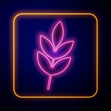 Parlayan neon yaprak simgesi siyah arkaplanda izole edildi. İşaret bırakıyor. Taze doğal ürün sembolü. Vektör