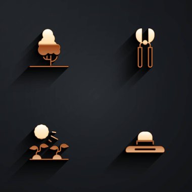 Set Fruit tree, Gardening scissors, Plant sprouts grow the sun and Farmer worker hat icon with long shadow. Vector