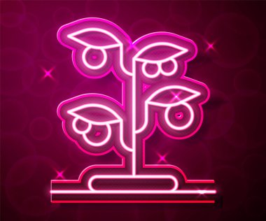 Parlayan neon hattı Sprout simgesi kırmızı arkaplanda izole edildi. Tohum ve tohum. İşaret bırakıyor. Yaprak doğası. Vektör